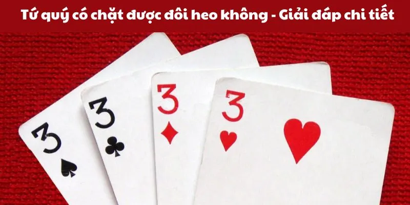 Tứ quý có chặt được đôi heo không? Đôi hai chặt tứ quý 12 tu-quy-co-chat-duoc-doi-heo-khong-giai-dap-chi-tiet