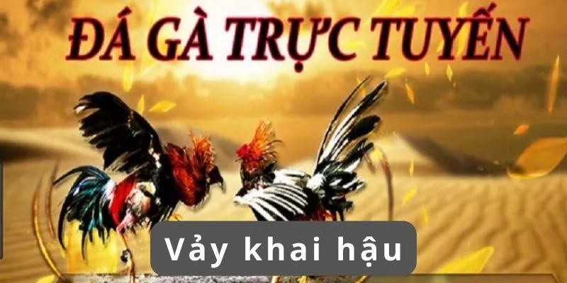 Vảy khai hậu tốt hay xấu và những điều cần biết khi cá độ 25 vay-khai-hau-la-gi